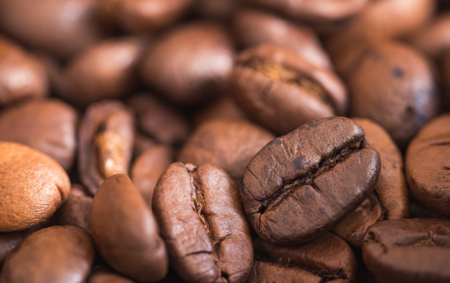 La Importancia de Tener Café de Especialidad en su Cafetería: Elevando la Experiencia de tus Clientes