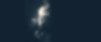 Notre_Dame_1920wide.jpg