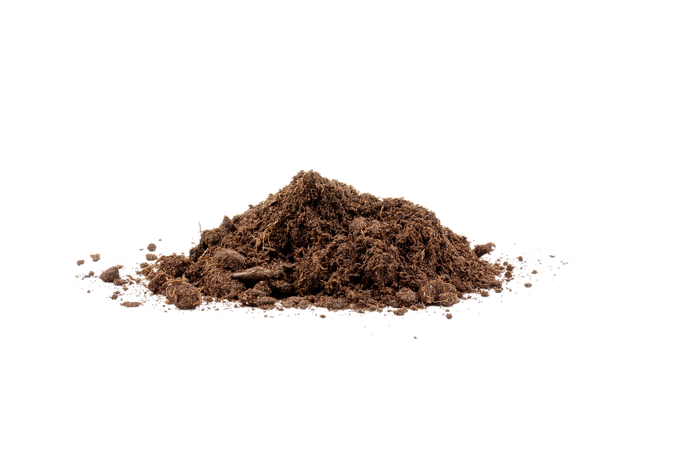 Soil _.png
