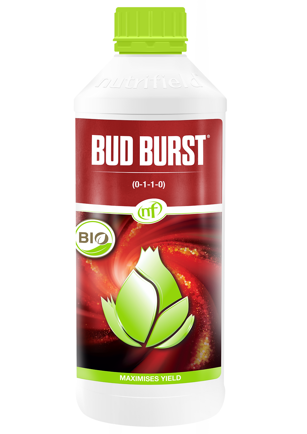 BudBurst1L.png
