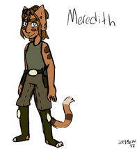 Meredith design.png