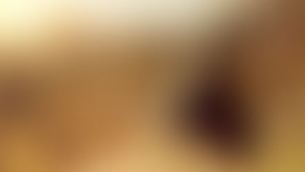 Christ Entering Egypt