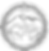 Gemini_Generated_Image_qj36kgqj36kgqj36_edited.png