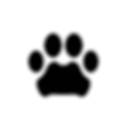 vector-illustration-leopard-paw-prints-260nw-1964123167_edited.png