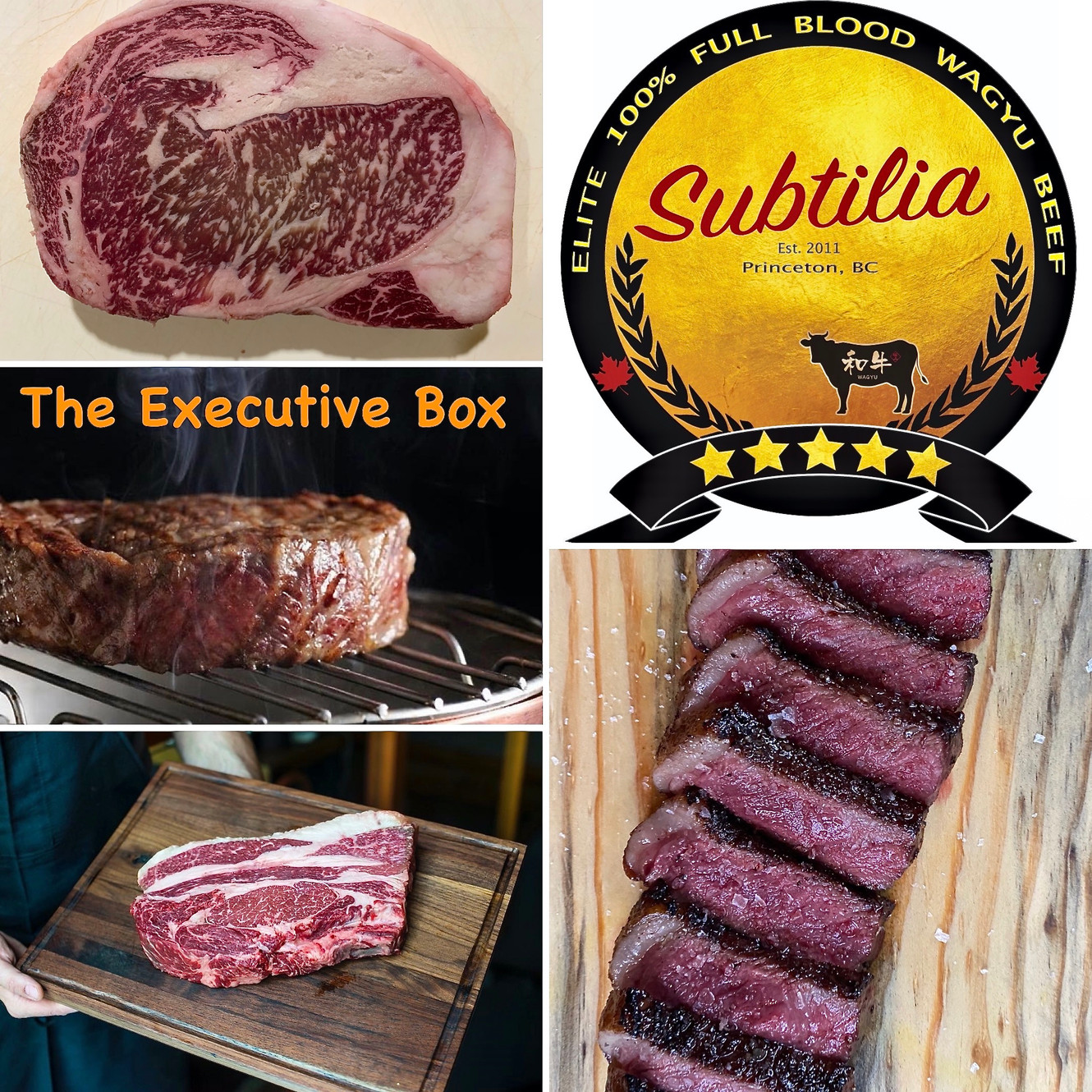 Wagyu Ranch In British Columbia Princeton BC Subtilia Ranch