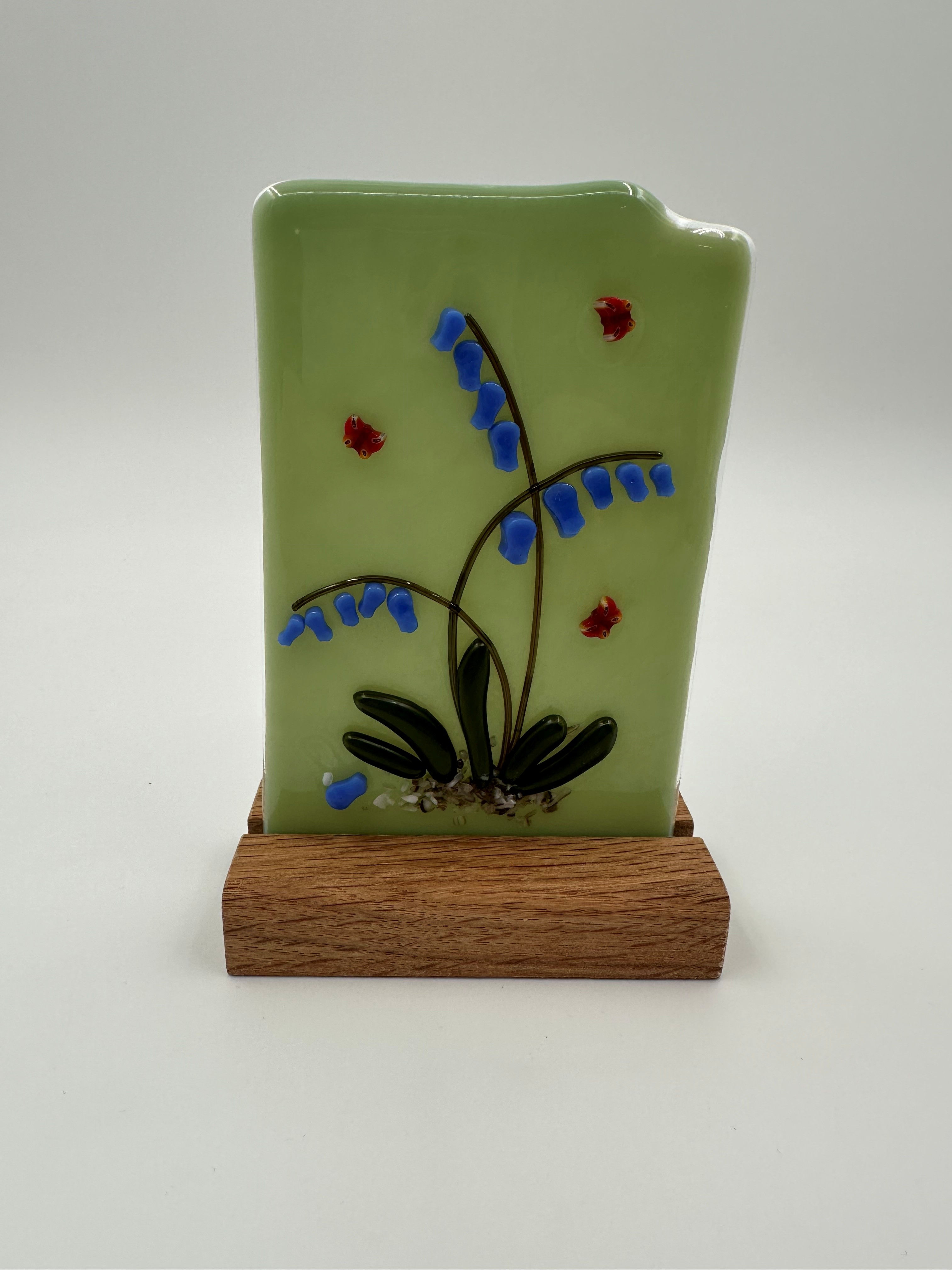 Bluebells & Firebugs