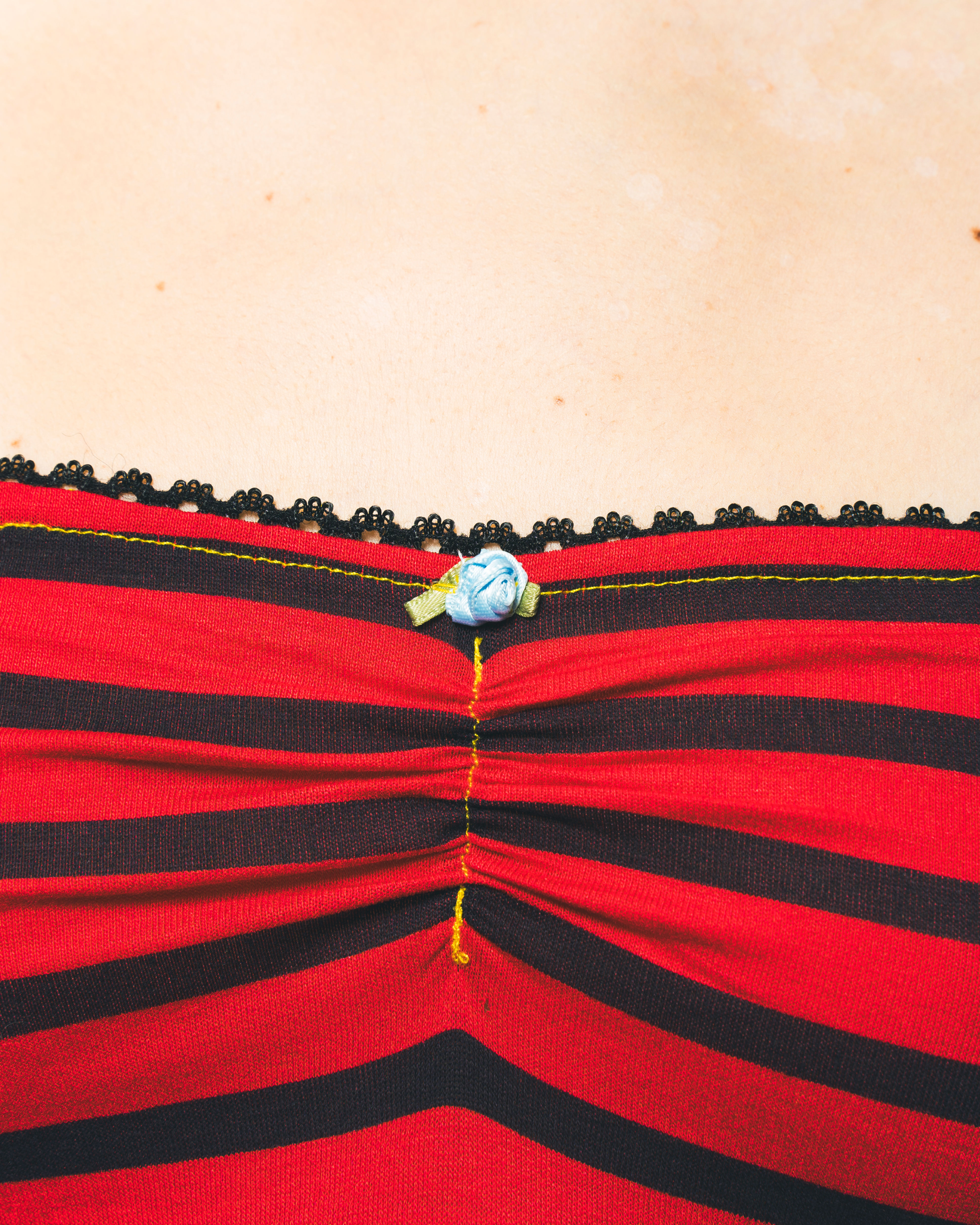 yadubustier