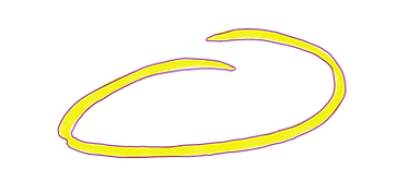 Illustration_sans_titre 4.png