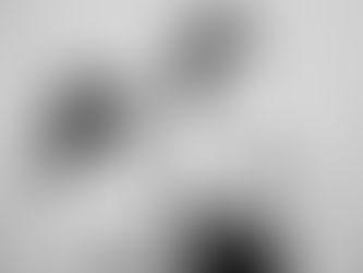 Beyond the Classroom: Practical ways to challenge gifted students in STEM