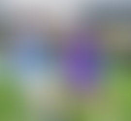 CONCACAF Champions Cup Bracket Confirmed for the Upcoming 2026 Tournament