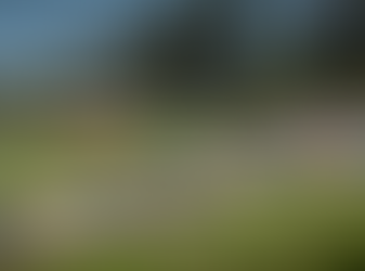 History of Lydden Hill