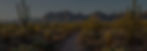 1759977988799_edited_edited.jpg