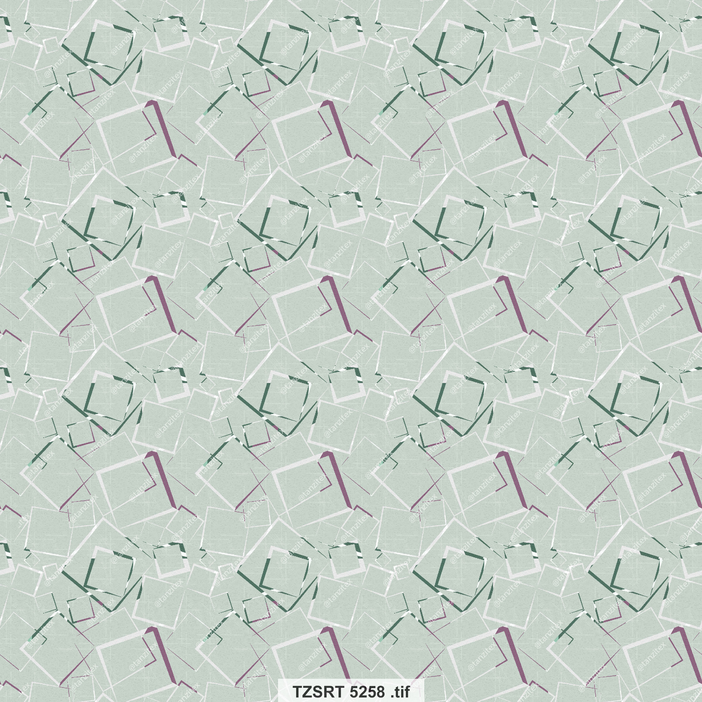 Abstract pattern in green and white with decorative geometric shapes TZSRT 5296