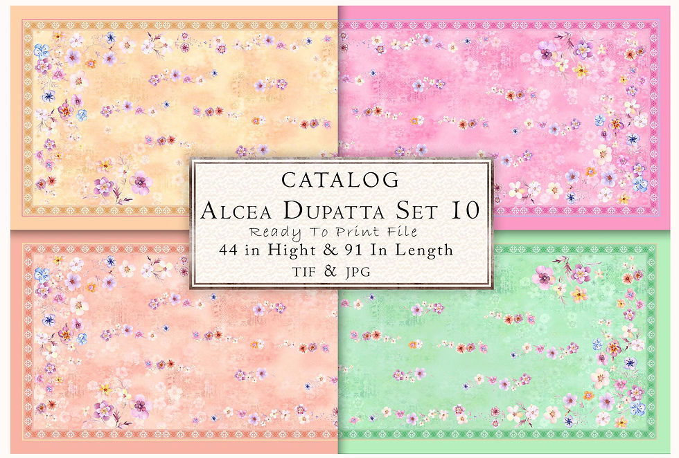 Catalog Alcea Dupatta Set 10 with a Ready to Print File Abstract Brush Strokes Digital Pattern TZSRT 5006