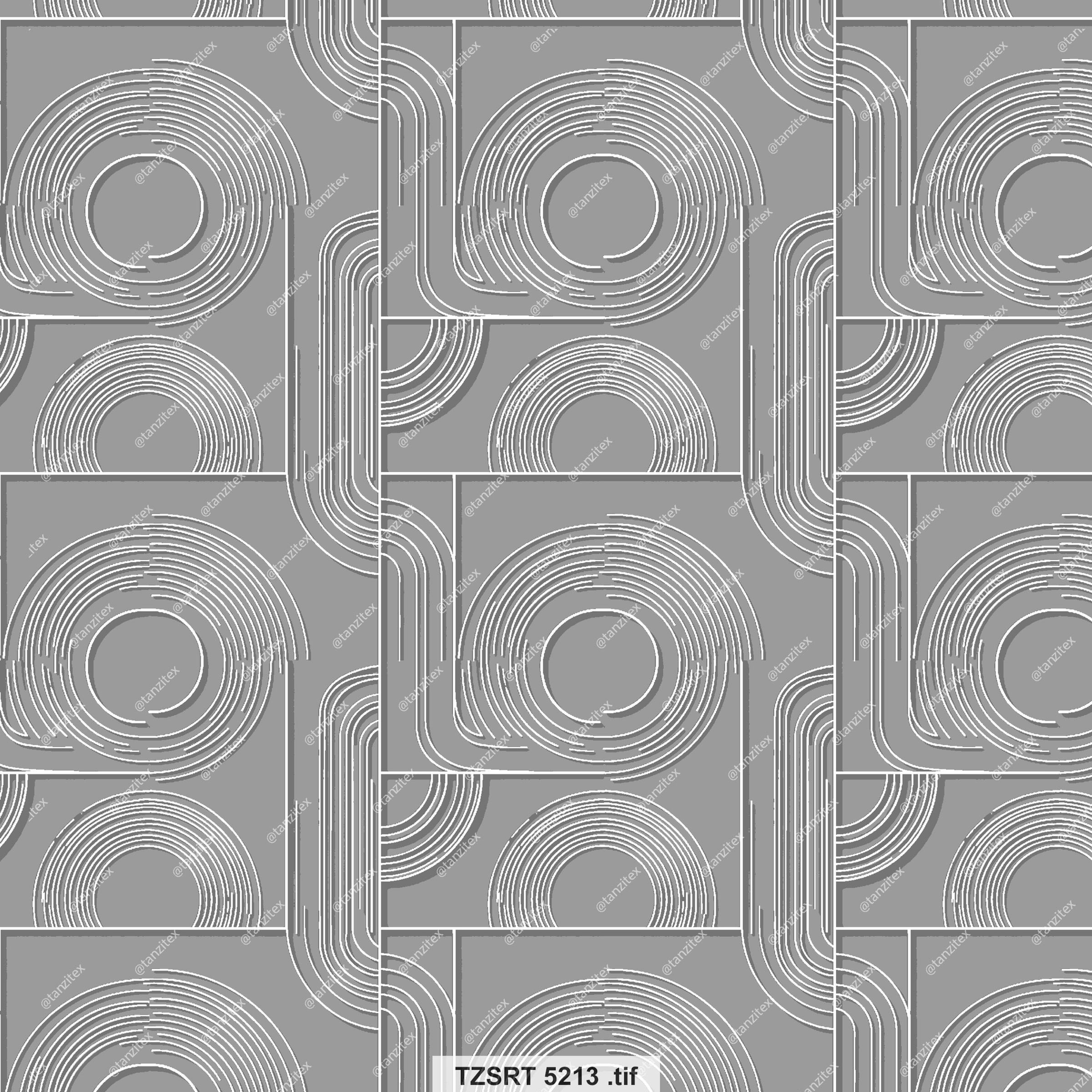 Geometric abstract pattern with circles and lines. TZSRT 5289. Tanzitex Studio.