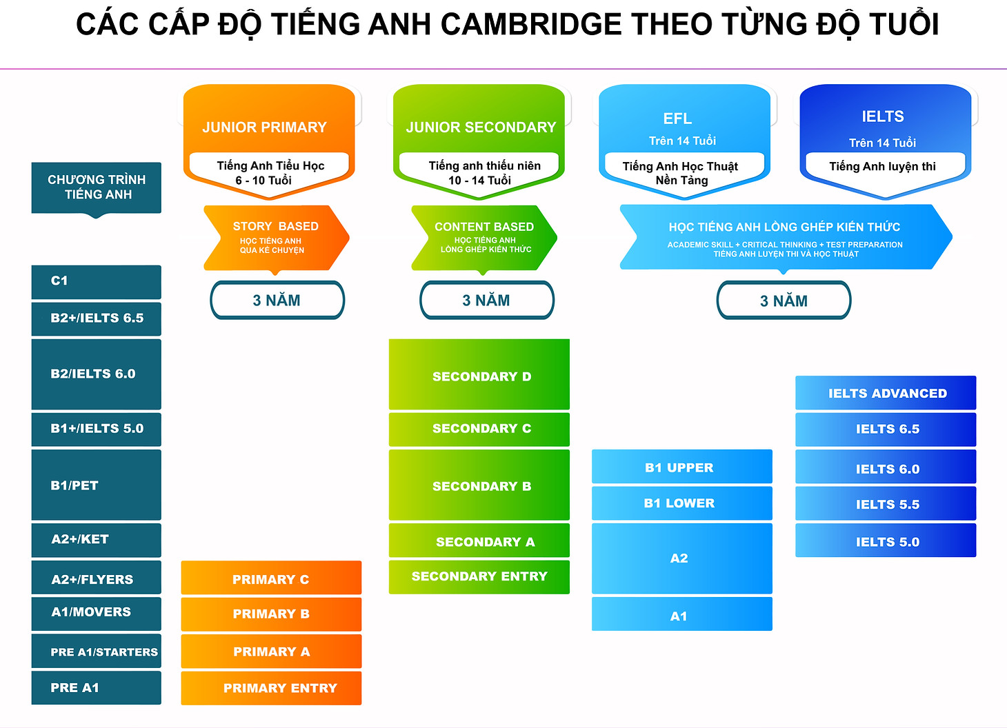 lộ trinh đào tao theo cấp tuổi