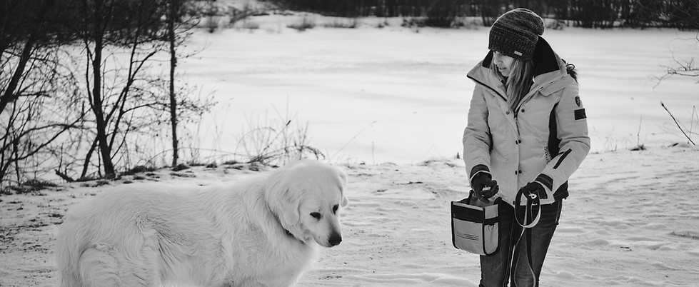 _storage_emulated_0_Download_TRAINING IMAGES-15.JPG