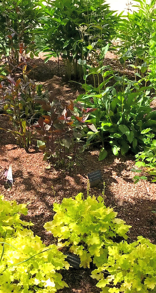 best irrigation specialists near me