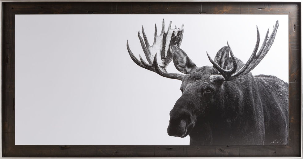 Jackson II, Jace Romick, Moose