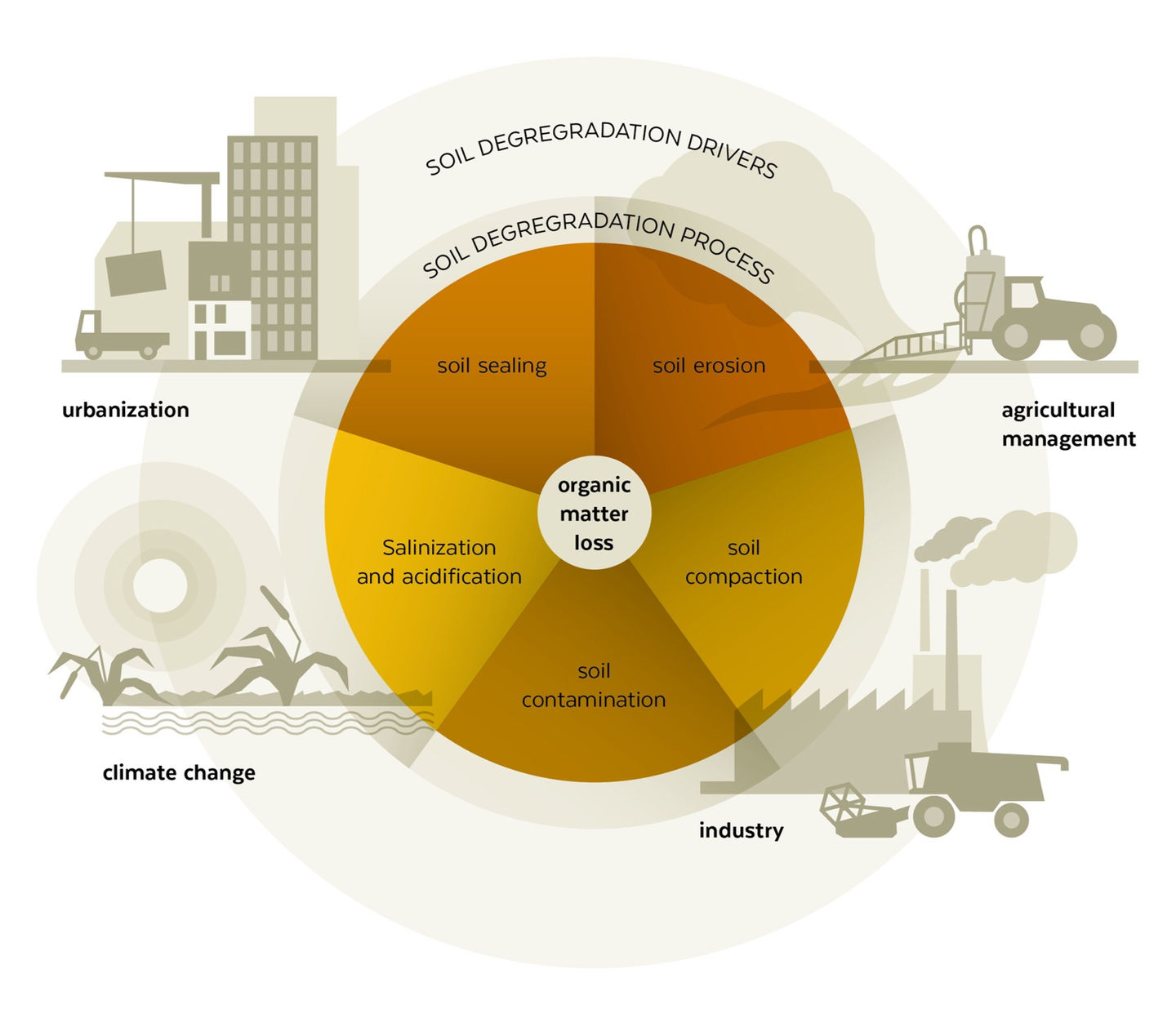 Infografik aus der Studie "Soil health – human health" 