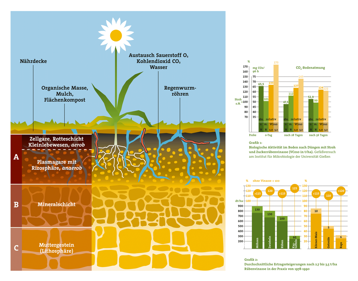 Infografiken und Diagramme für das EMJournal