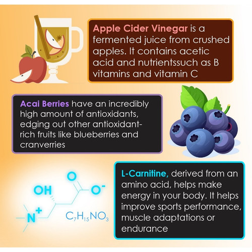 apple cider vinegar l carnitine Acetyl-L-Carnitine, 500 mg, 120 Vegetarian Capsules