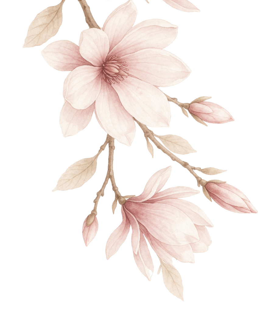 Magnolien Pflanzenelement