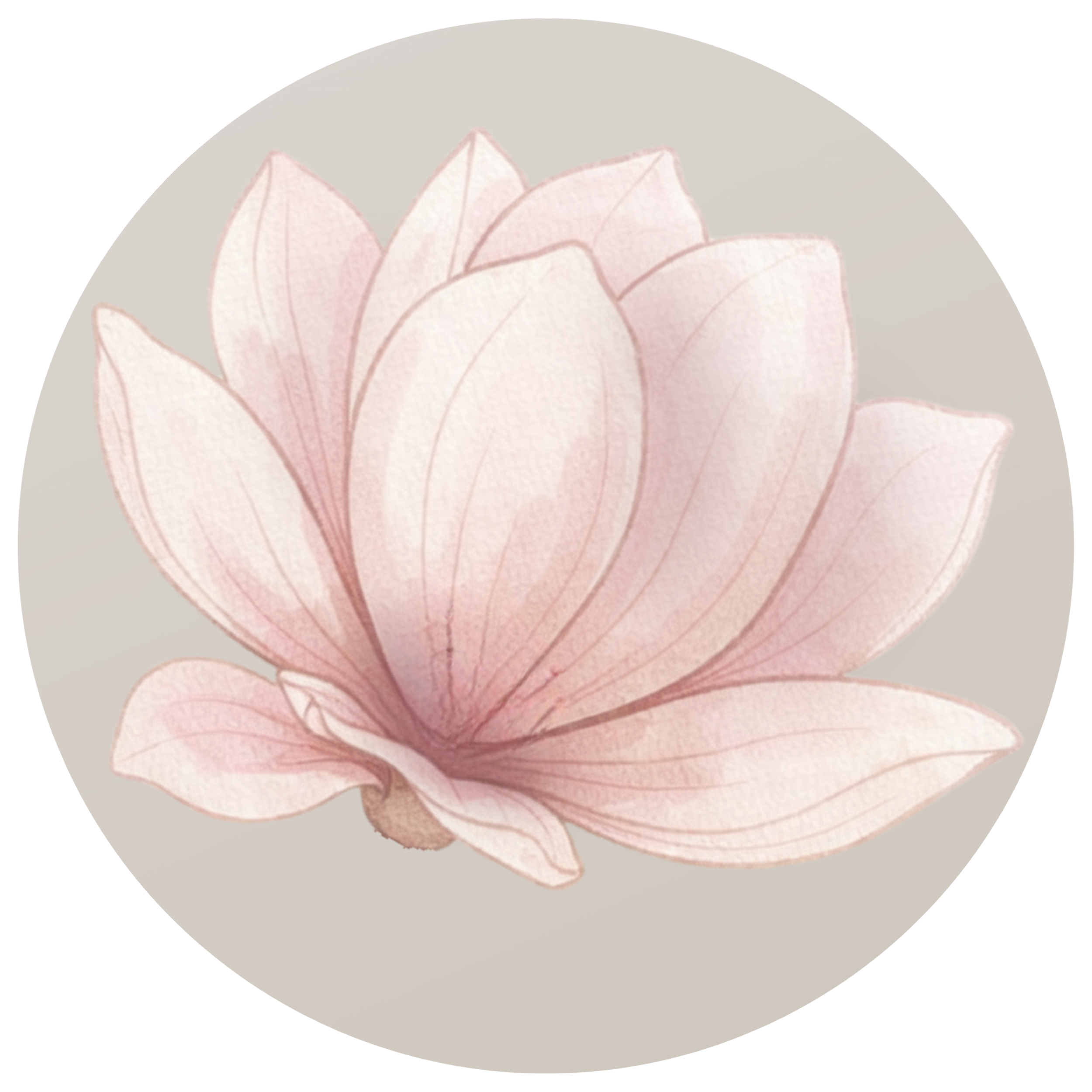 Autorenbild: Magnolia Stuttgart