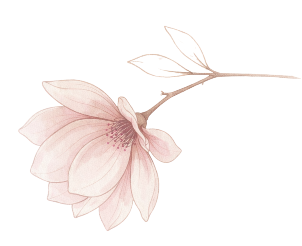Magnolie Blüte