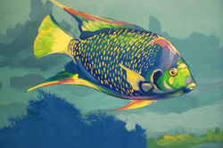 Ayres Children's Medical Detail