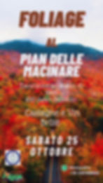 Trekking e Foliage a Pian delle Macinare: castagne e vin brulè 🌰 🍷 🍂 