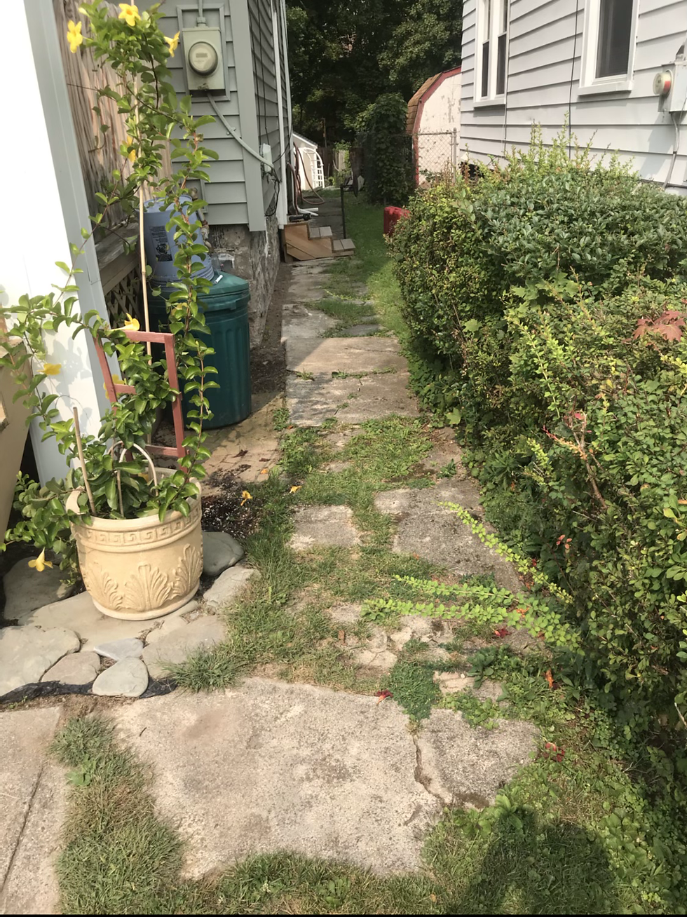 Walkway/Landscaping Before