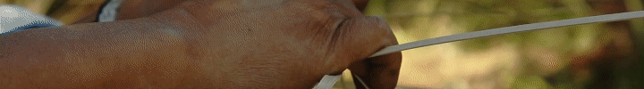 taquara gif.gif