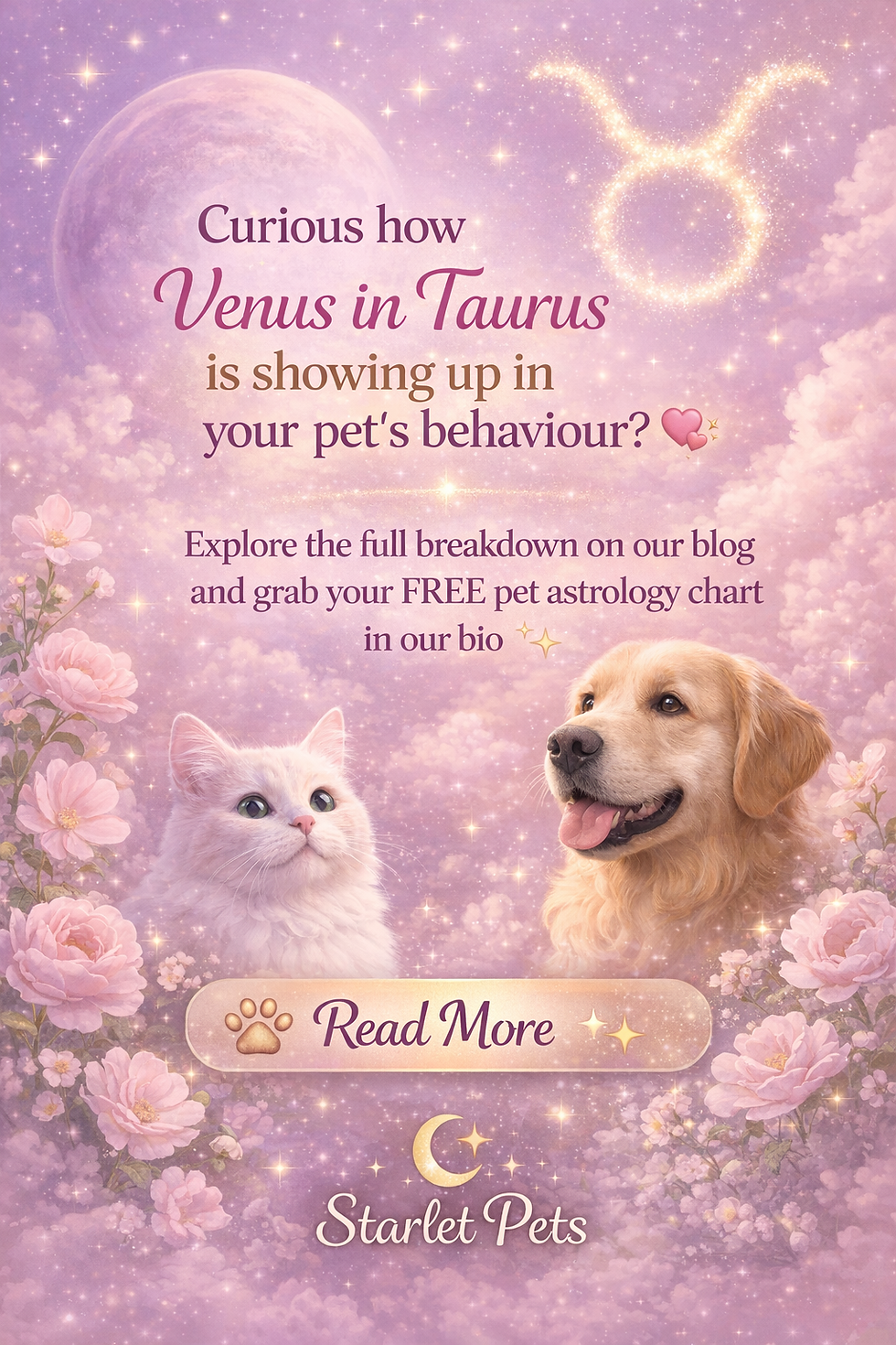 White cat and golden retriever in pink floral setting with a starry sky. Text: "Curious how Venus in Taurus... Read More." Starlet Pets logo.