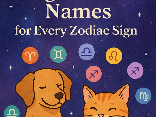 Dog and cat with happy faces against a starry background, surrounded by zodiac signs. Text: "The Best Dog & Cat Names for Every Zodiac Sign."