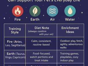 Chart titled "Training, Diet & Enrichment." Four elements: Fire, Earth, Air, Water guide pet care. Blue background with icons and text.