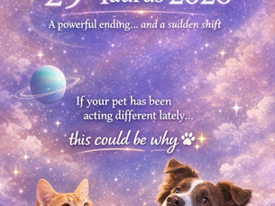 Uranus at 29 Degrees Taurus Meaning 2026: Sudden Shifts, Final Wake-Up Calls and What It Means for You and Your Pets ✨⚡🐾