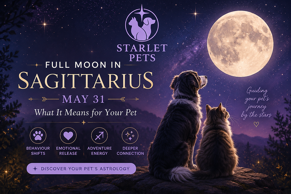Two pets sit on a rock gazing at a full moon in a purple starry sky; Starlet Pets ad for Full Moon in Sagittarius, May 31.