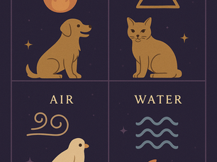 Illustration of four quadrants: fire/dog, earth/cat, air/bird, water/fish. Dark background with gold text "STARLET PETS" and elemental symbols.