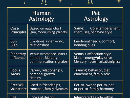 Astrology for Pets vs. Humans: What’s the Same, What’s Different?