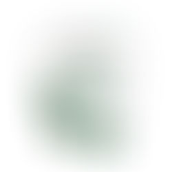 White package labeled "Pet Drs" with green paw prints, text "GUT + IMMUNITY for Dogs & Cats." Nutritional meal topper description, plain background.