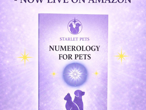 Purple book cover titled "Numerology for Pets" by Starlet Pets, surrounded by stars, with "Now Live on Amazon" text and logo below.