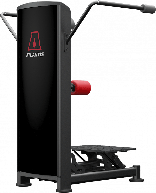 Thumbnail: Total hip 3