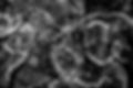 CARAPACE_bw.