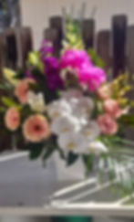 Warringah Florist Slice of Cake arrangement in ceramic pot