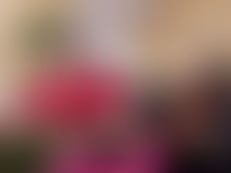 Royal Commission One Step Closer