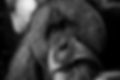 KINDERED ONE_bw.