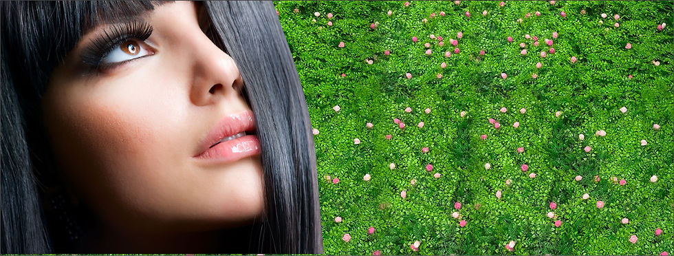 New Glamour Lash Bar background.jpg
