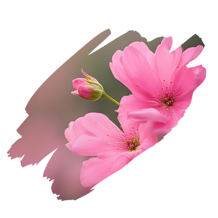 Pink flowers (perfectionism).png