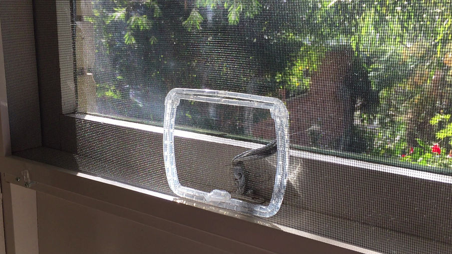 Better Inventions | Phoenix Access Window | Fly Screen Port